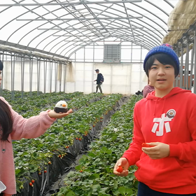 ピーコと私　ﾌﾟﾘﾌﾟﾘ405の画像