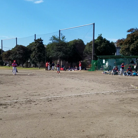 壮年動画②の画像