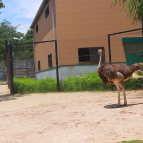 ＊やっとパパの休み！＊4の画像