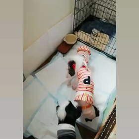 ねんねの時間の画像