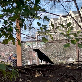 2023.03.05 kin031 遊び感覚で熱中しましょう。の画像