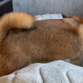 何にもしない日〜頭の中を巡る思いつれづれ〜の画像