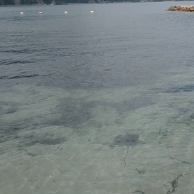 0801漂着したたまごの画像