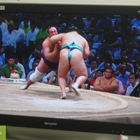 栃の心wwwwwwwwwwww(((^^;)の画像