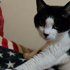 フミフミの画像