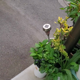 、、。竜巻️警戒解除の画像