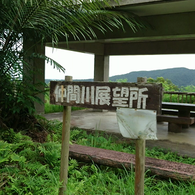 動画をいくつかの画像