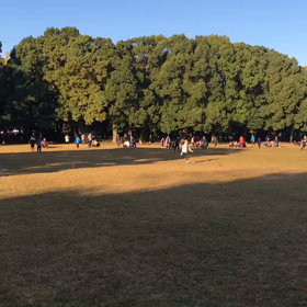 10色リレー⑥の画像