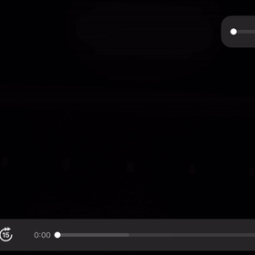 猫抱くメイキング映像の画像