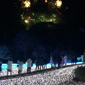 瑠璃最終日＆奈良公園birthdayの画像