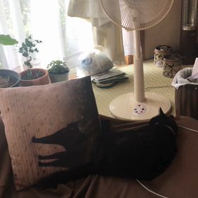 15〜20年！の画像