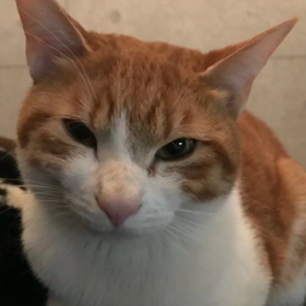 感動をありがとう(๑˃̵ᴗ˂̵)の画像