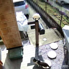 7/10のお客様の画像