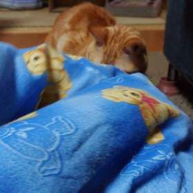 もぞもぞの画像