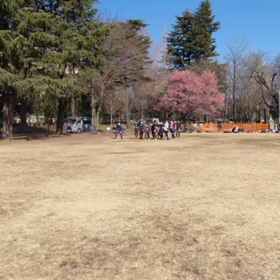 特別練習 B 学年別インターバル⑳の画像