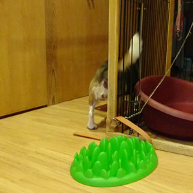 忙しい～の画像