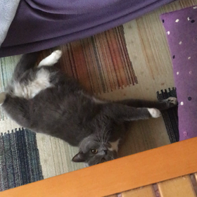 話し好きの画像