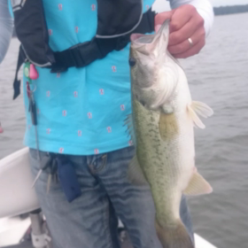 異議申し立ての画像