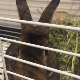 かしこまるの画像