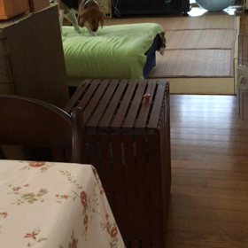 何する気の画像