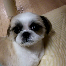 もう限界(笑)の画像