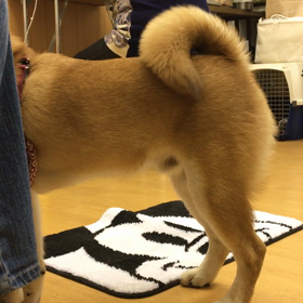 勘弁してやらぁ。の画像