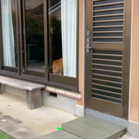 2023/07/01 今週のハナの画像