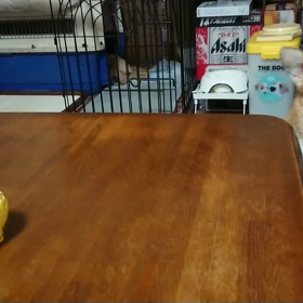 とれない、取れない！！の画像