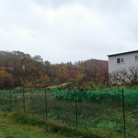 一昨日の激しい雨の被害はなかったもよう。の画像