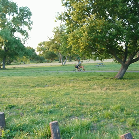 あっちこっちの画像