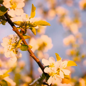 オンナは「かわいい」が仕事！　さあ、オトコは⁇の画像