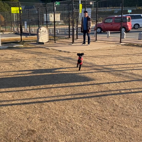 わんこーずとドッグランへちょっかいさくらに怒るマッシュでも手加減してるところがマッシ...の画像