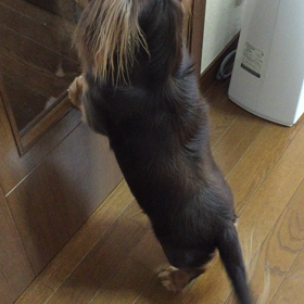 おはようわん(=^x^=)の画像