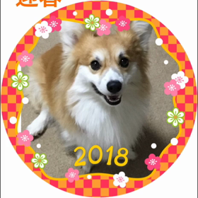 新年とお引越し 新しいブログの画像
