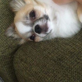 ふふふ 、可愛い寝顔だことの画像