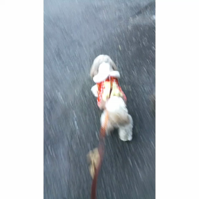 娘の職場にての画像