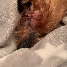 意気込み。の画像