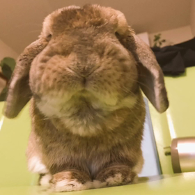 お久しぶりです☺︎の画像