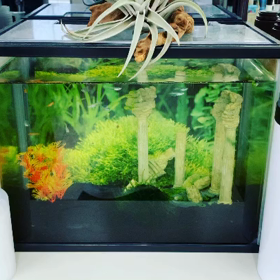 11月の定休日のお知らせ！の画像