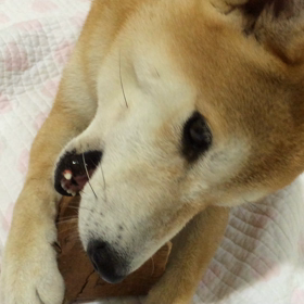 噛み噛みうに子❤の画像