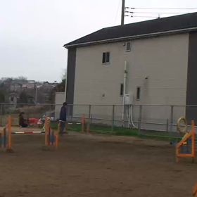 今日は柔道の都大会…の画像