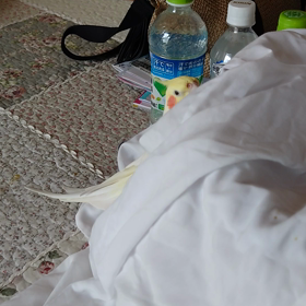 元気ですよの画像