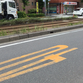 8/26 土曜日の画像