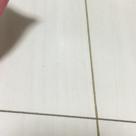 うわさぁ。。の画像