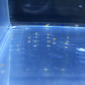 プルプル動画の画像