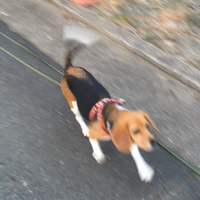 一緒にいってる？の画像