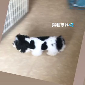 かわいい子♡募集中です♪の画像