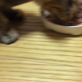 ただいま～～の画像