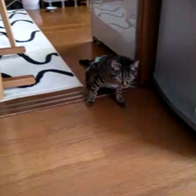 まだまだ自力でお水も飲めるもん！の画像