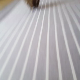 うちのデグーが初めて男になった日BYもちの画像